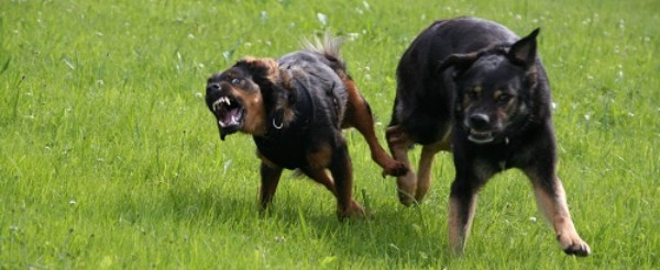 Verhalten beim kennenlernen der schwiegereltern